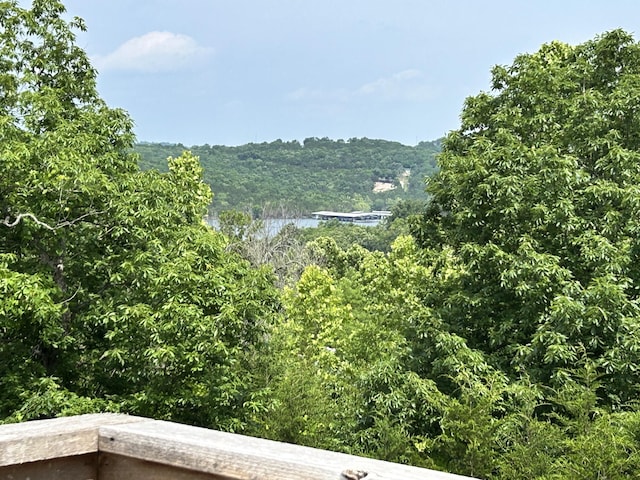 81 Clear Cove Dr, Reeds Spring, MO 65737 - view of mountain backdrop with a heavily wooded area