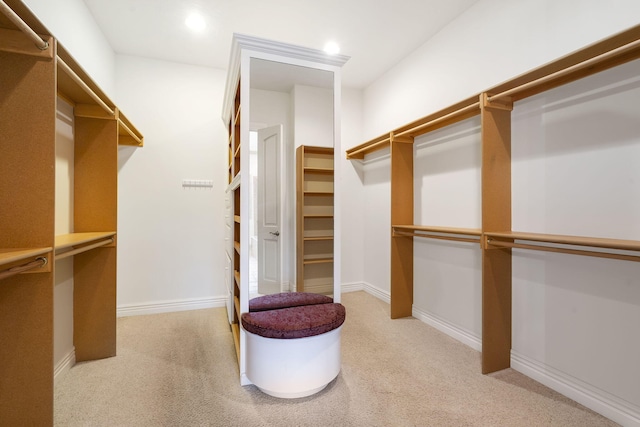 walk in closet with light carpet