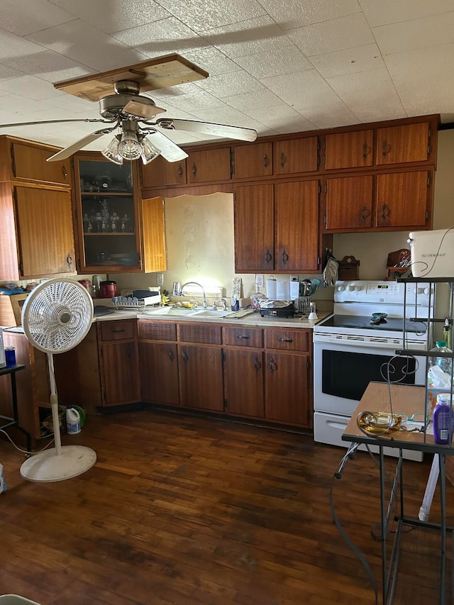 kitchen with white range with electric stovetop, dark hardwood / wood-style floors, sink, and ceiling fan