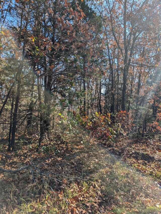 000 Ridgeview Pt, Cape Fair, MO 65624