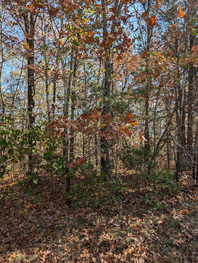 000 Ridgeview Pt, Cape Fair, MO 65624