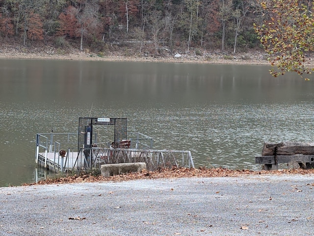 000 Ridgeview Pt, Cape Fair, MO 65624