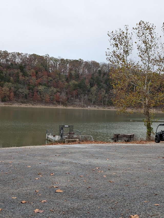 000 Ridgeview Pt, Cape Fair, MO 65624