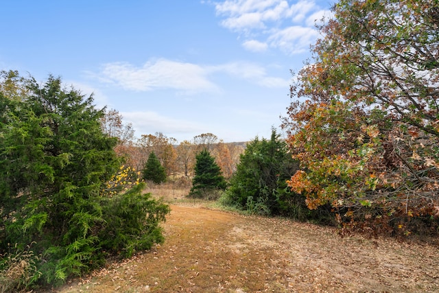 view of landscape