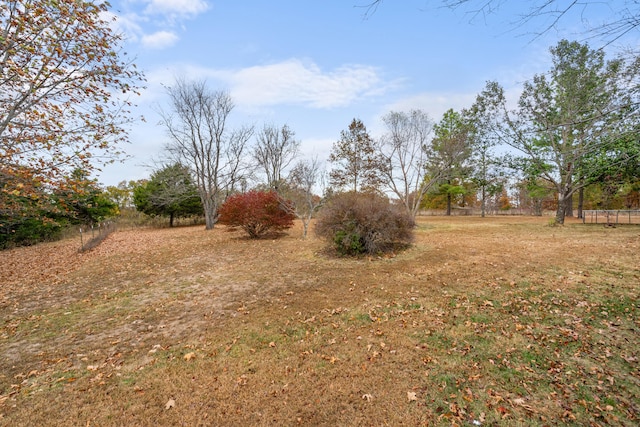 view of yard with a rural view