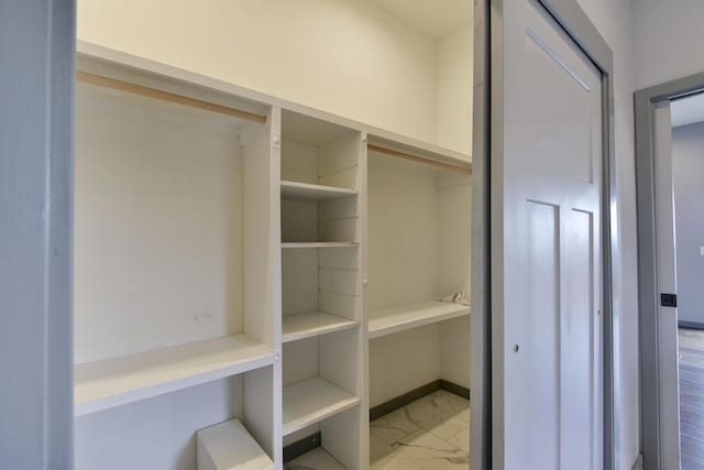 3133 Talking Rocks Rd, Reeds Spring, MO 65737 - view of closet