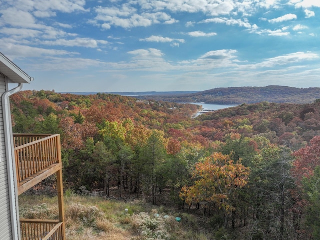 mountain view featuring a water view