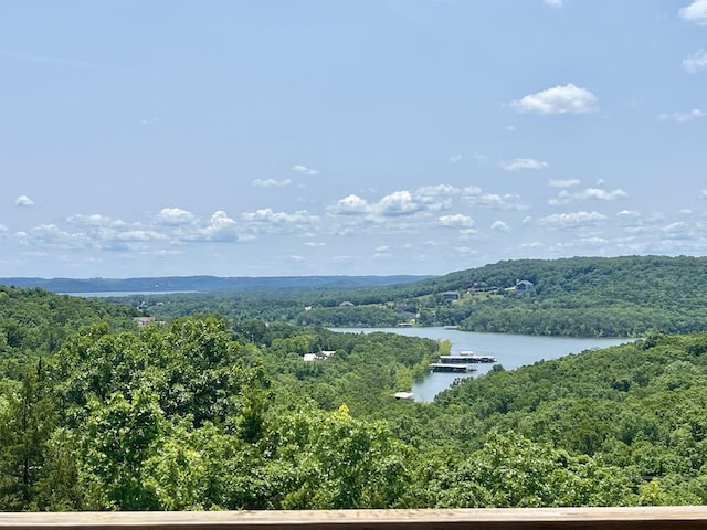 3133 Talking Rocks Rd, Reeds Spring, MO 65737 - view of mountain background featuring a heavily wooded area and a nearby body of water