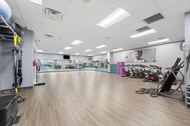 exercise room featuring wood-type flooring and a paneled ceiling