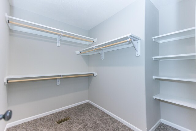 spacious closet with carpet