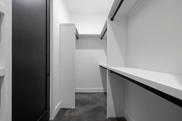 spacious closet with dark colored carpet