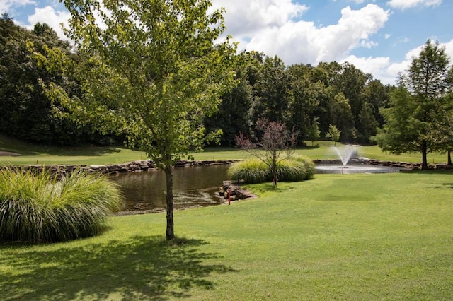 24 Baldknobber Dr Unit 18, Branson West, MO 65737 - view of community featuring a water view and a lawn