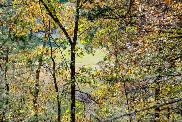 24 Baldknobber Dr Unit 18, Branson West, MO 65737 - view of local wilderness