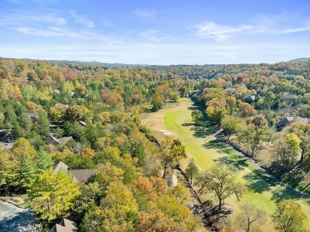 24 Baldknobber Dr Unit 18, Branson West, MO 65737 - aerial view of property's location with a forest