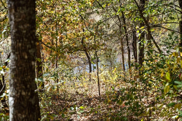 24 Baldknobber Dr Unit 18, Branson West, MO 65737 - view of woods