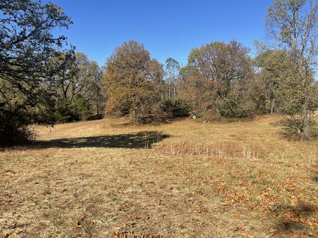 Tbd State Highway 76, Cassville, MO 65625 - photo 8