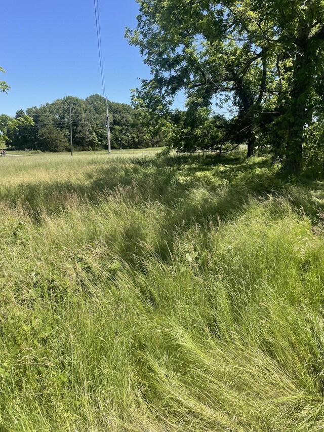 Tbd State Highway 76, Cassville, MO 65625 - photo 16