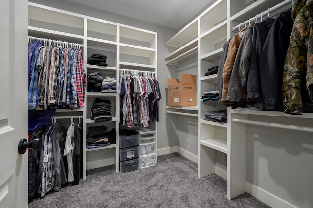 walk in closet featuring carpet flooring