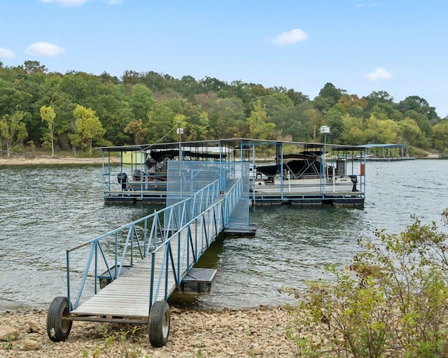 dock area featuring a water view