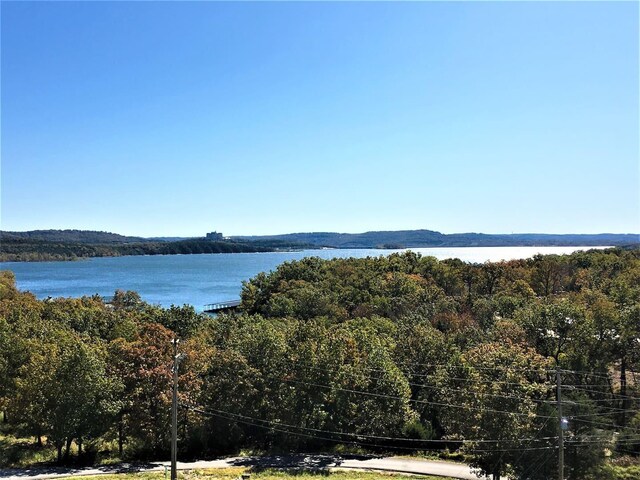 70 Dogwood Park Trl Unit 1510, Branson, MO 65616 - water view featuring a forest