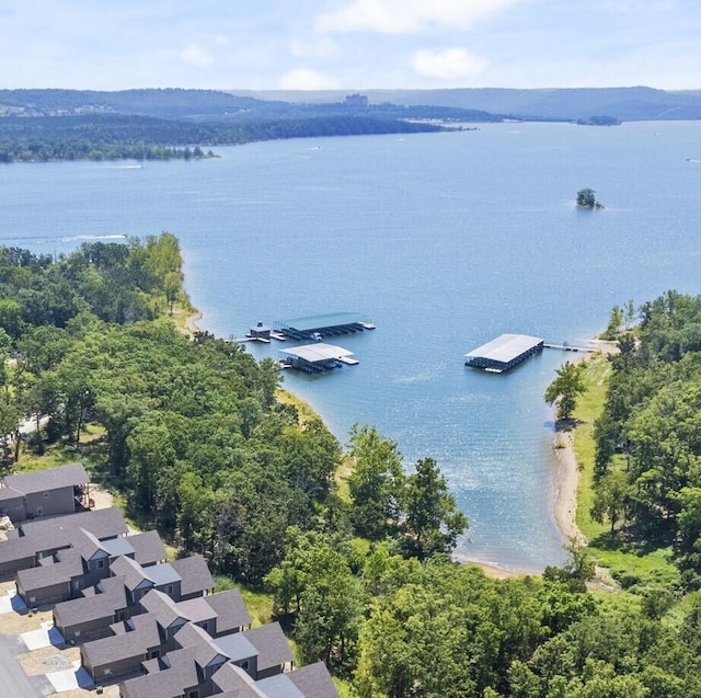 70 Dogwood Park Trl Unit 1510, Branson, MO 65616 - aerial view of a nearby body of water