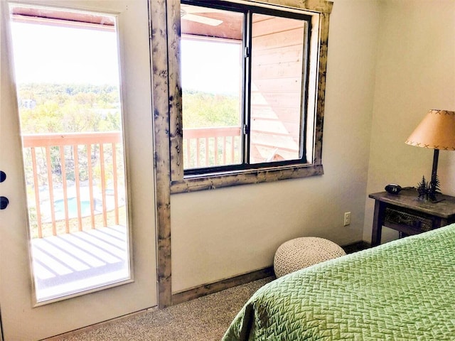 bedroom with multiple windows and carpet floors