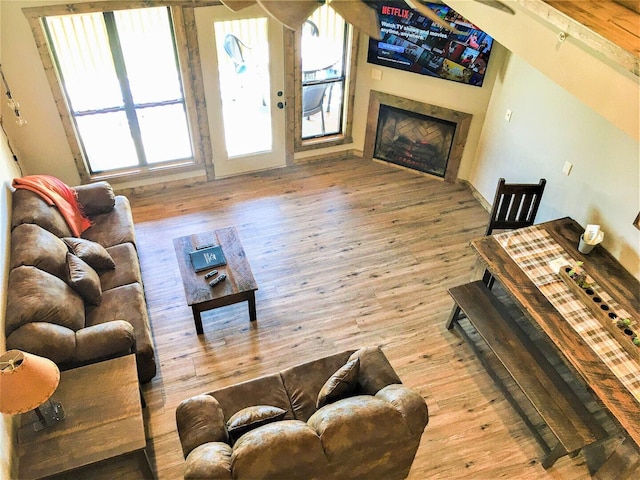 living room featuring a healthy amount of sunlight and light wood-type flooring