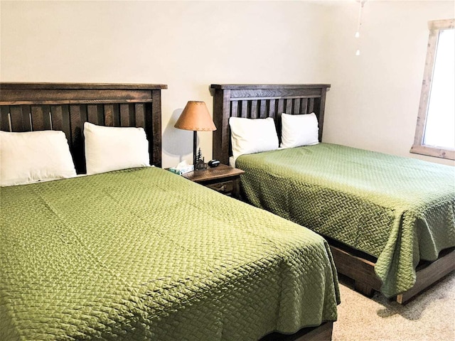 70 Dogwood Park Trl Unit 1510, Branson, MO 65616 - view of carpeted bedroom