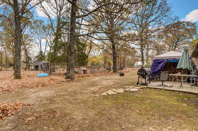 view of yard featuring a patio area