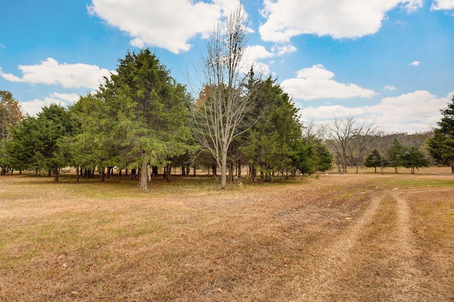 view of yard featuring a rural view