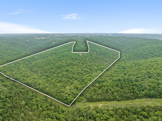 000 Northwoods Dr, Kimberling City, MO 65686