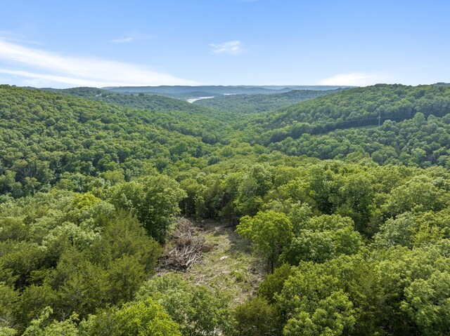 000 Northwoods Dr, Kimberling City, MO 65686