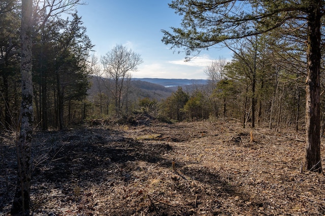 000 Northwoods Dr, Kimberling City, MO 65686