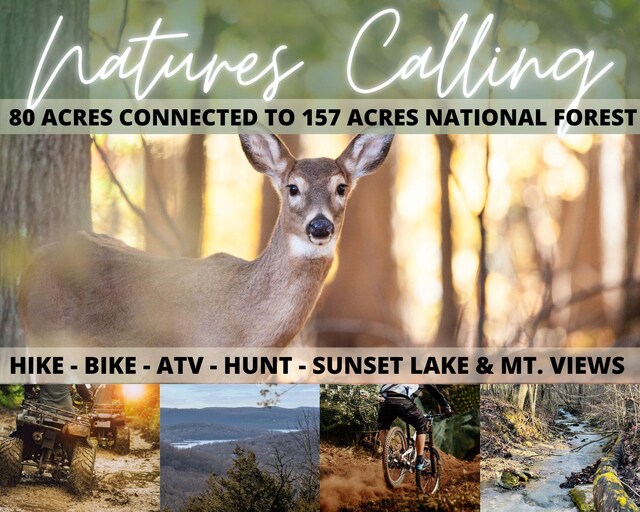 000 Northwoods Dr, Kimberling City, MO 65686