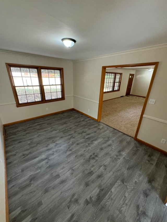 unfurnished room with crown molding and dark hardwood / wood-style floors