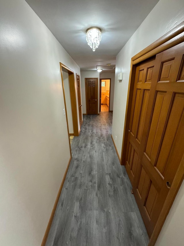 hall with an inviting chandelier and dark hardwood / wood-style flooring