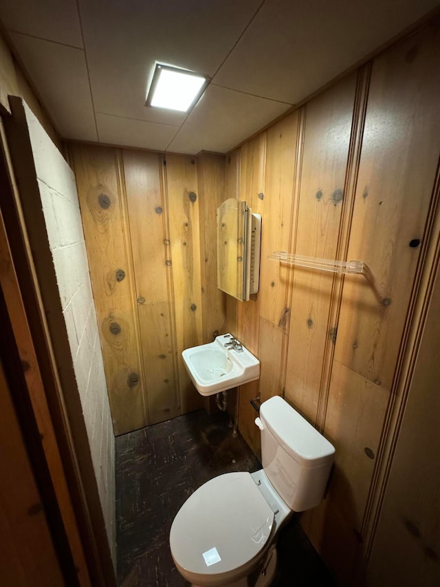 bathroom with toilet, wood walls, and sink