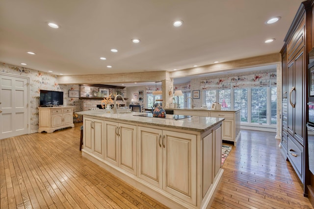 kitchen featuring black electric cooktop, cream cabinets, light stone counters, an island with sink, and light wood-type flooring