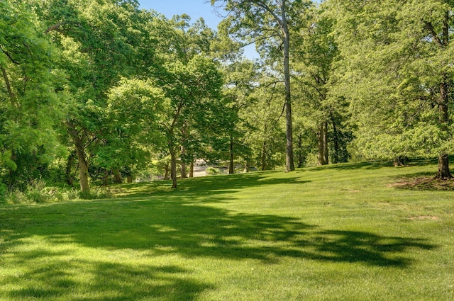 4231 E Farm Rd 144, Springfield, MO 65809 - photo 27