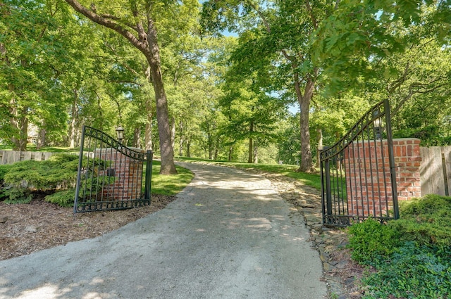 4231 E Farm Rd 144, Springfield, MO 65809 - photo 103