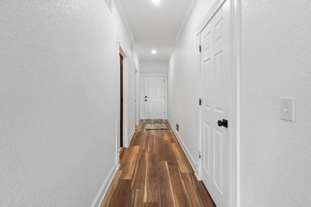 hallway featuring crown molding and dark hardwood / wood-style flooring