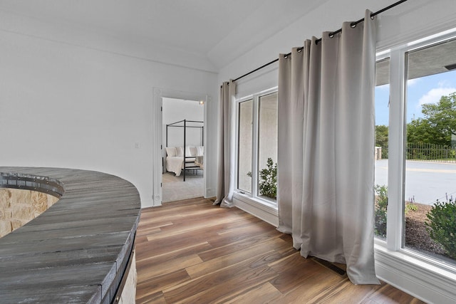 hallway with hardwood / wood-style flooring and plenty of natural light