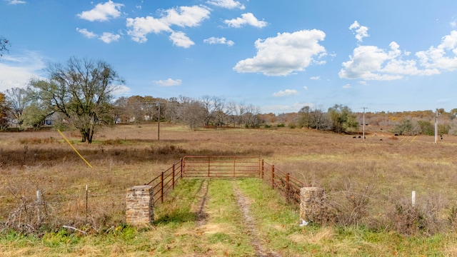 view of yard with a rural view