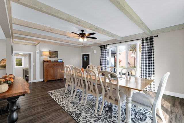 dining space featuring ceiling fan, a wealth of natural light, and dark hardwood / wood-style flooring