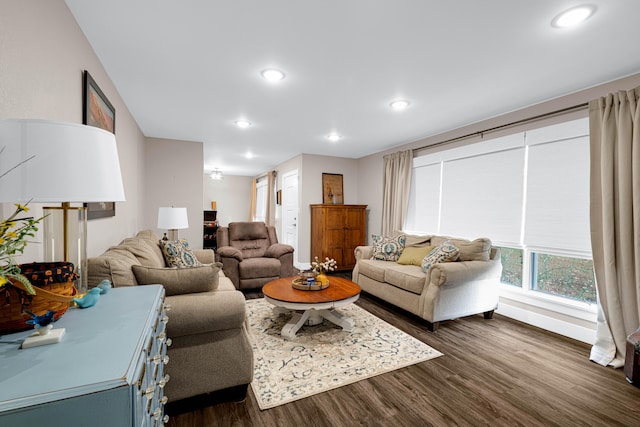 living room featuring dark hardwood / wood-style floors