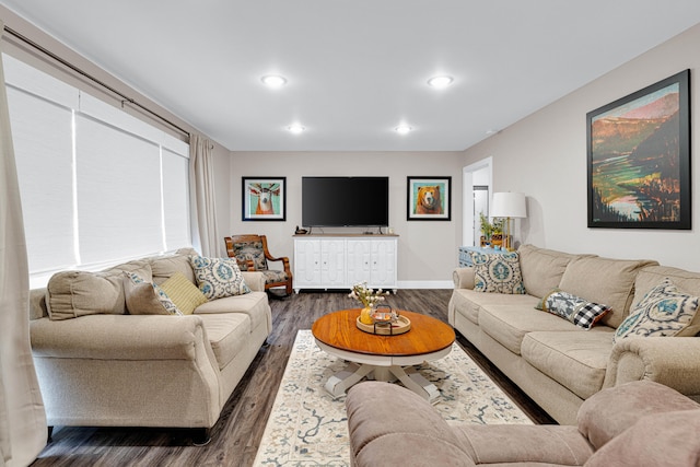 living room with dark hardwood / wood-style flooring