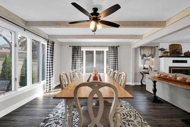 dining area featuring a wealth of natural light, ceiling fan, and dark hardwood / wood-style flooring