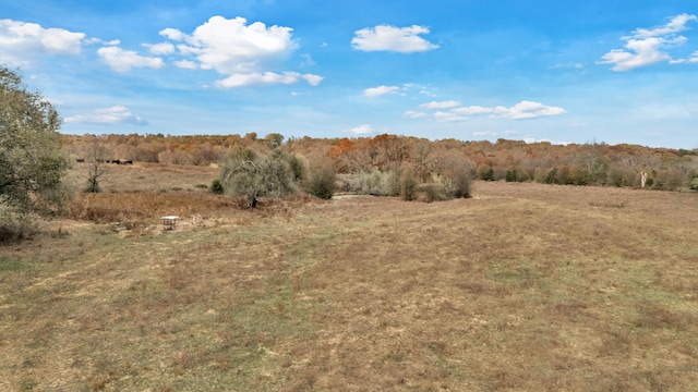 view of local wilderness with a rural view