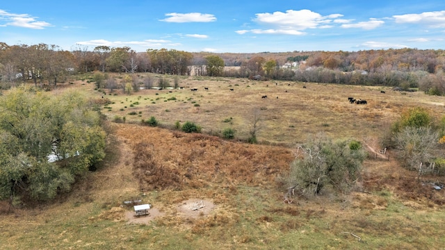 birds eye view of property featuring a rural view