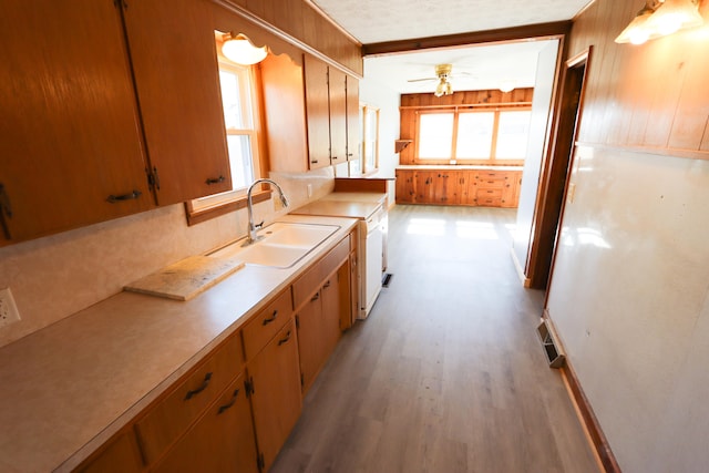 bathroom featuring sink, wood-type flooring, and ceiling fan